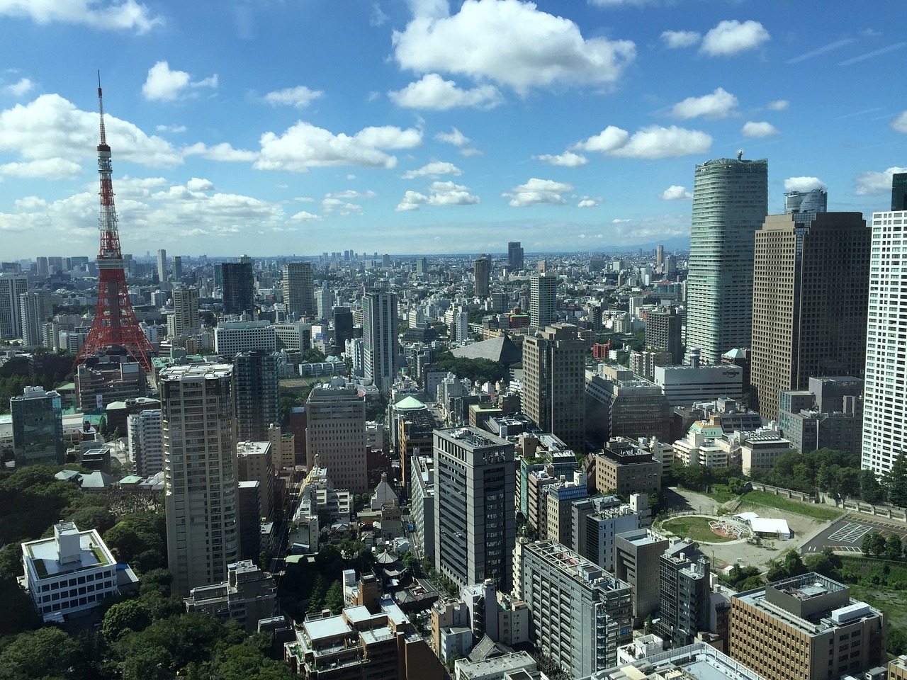 土耳其最新战况深度解析与评述