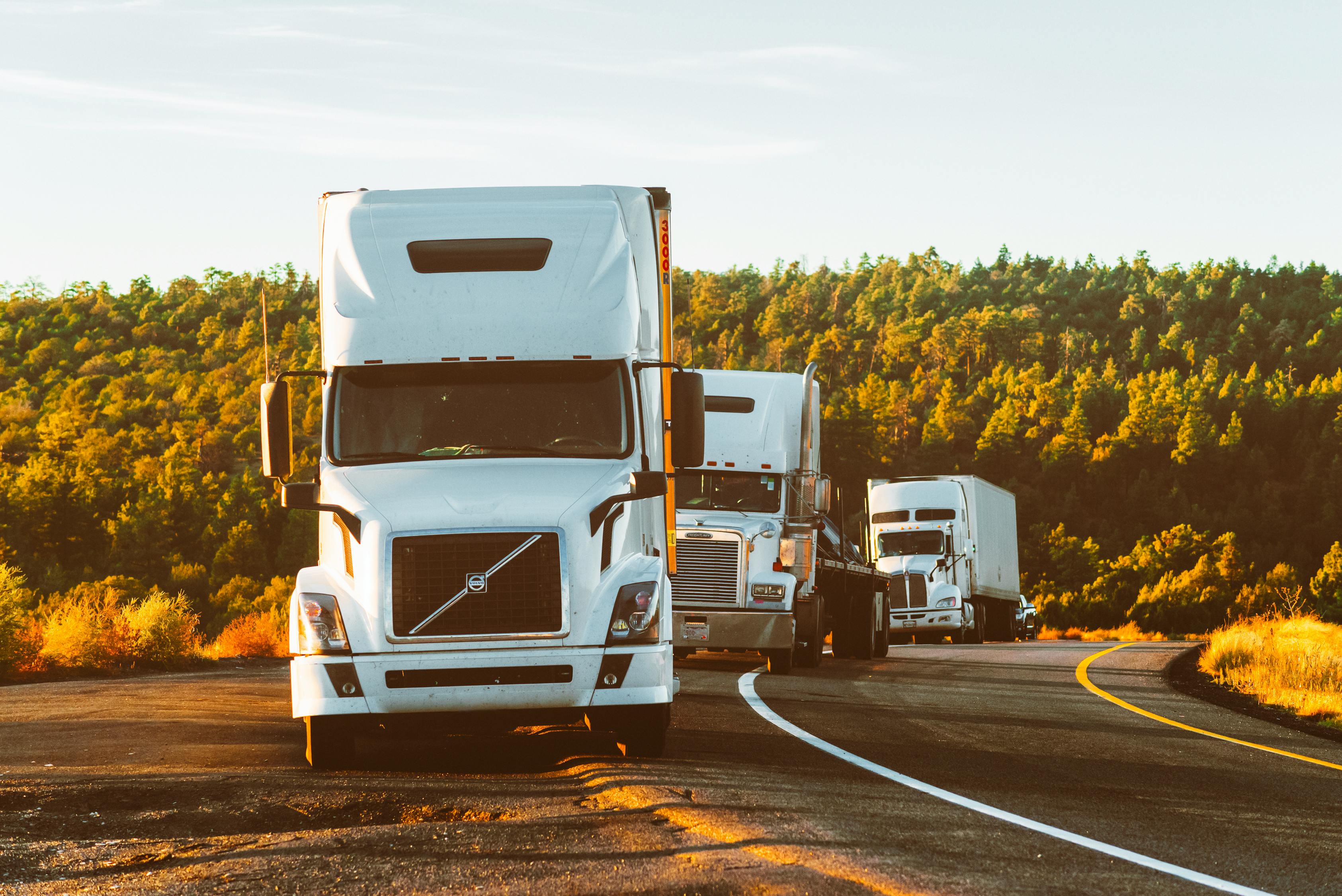 2024新澳门正版免费资本车,特性与用途解析探讨，高级版TZ5599.836