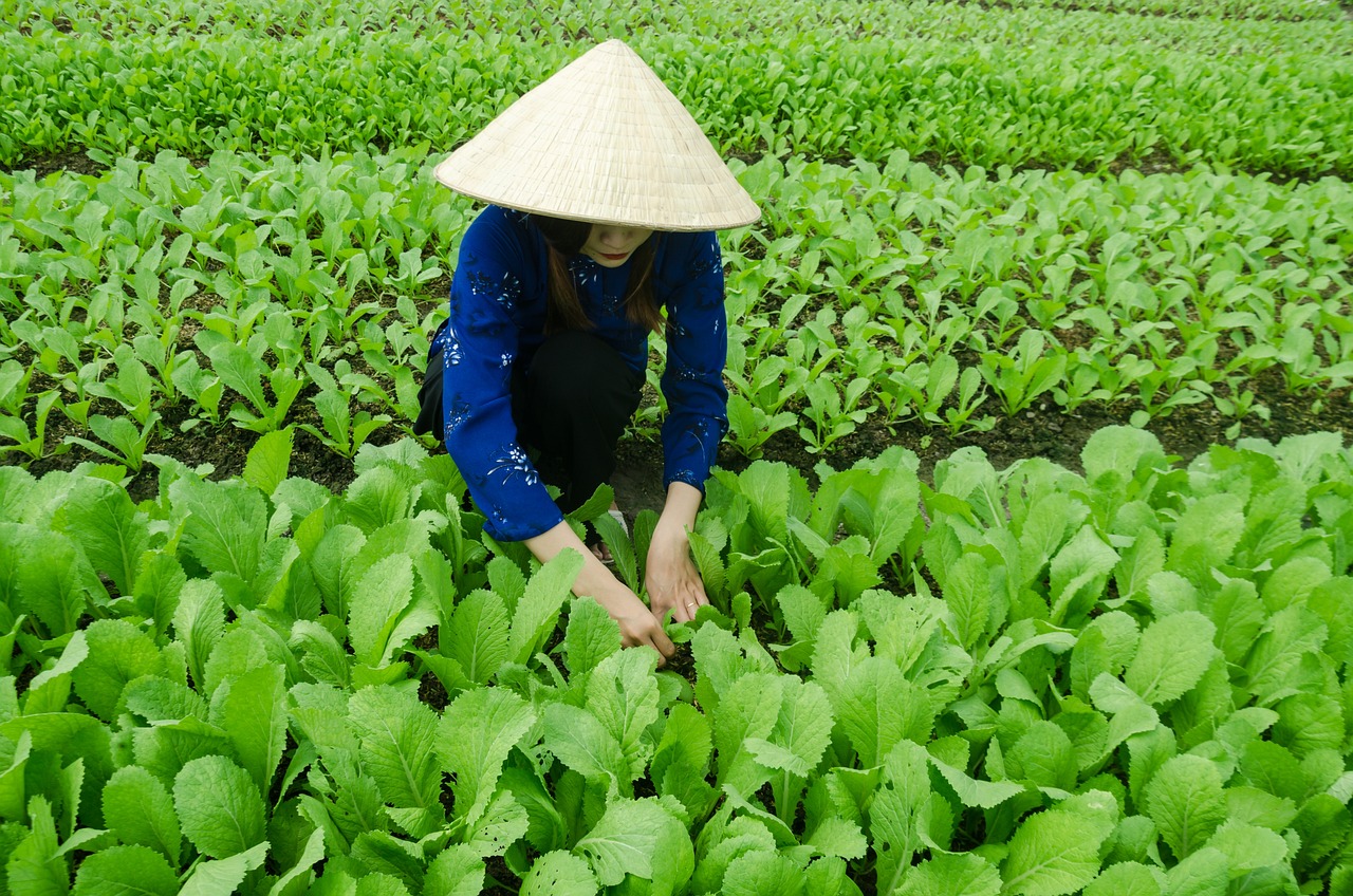 花园宝宝最新动态与成长轨迹揭秘