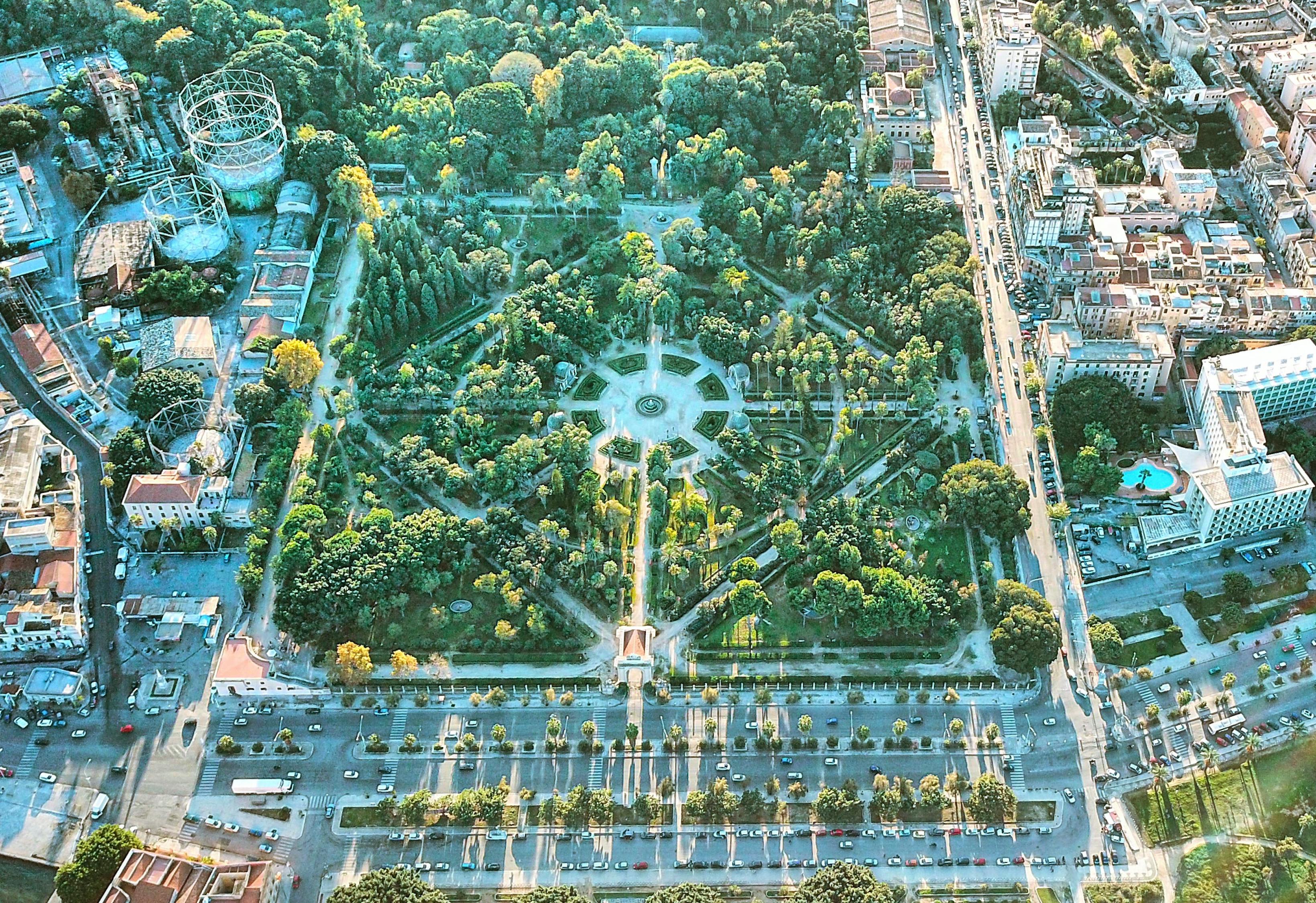 洮南疫情最新动态，应对挑战，守护家园