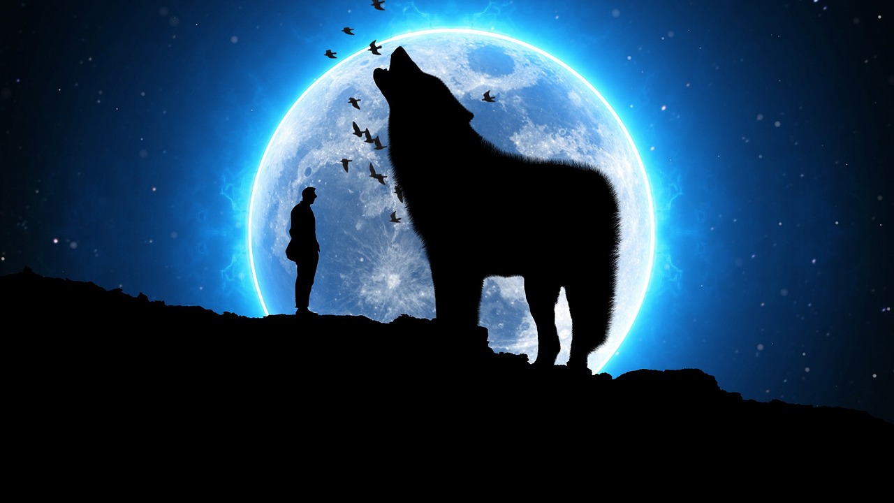 湛江籍明星，照亮娱乐圈的光芒之星