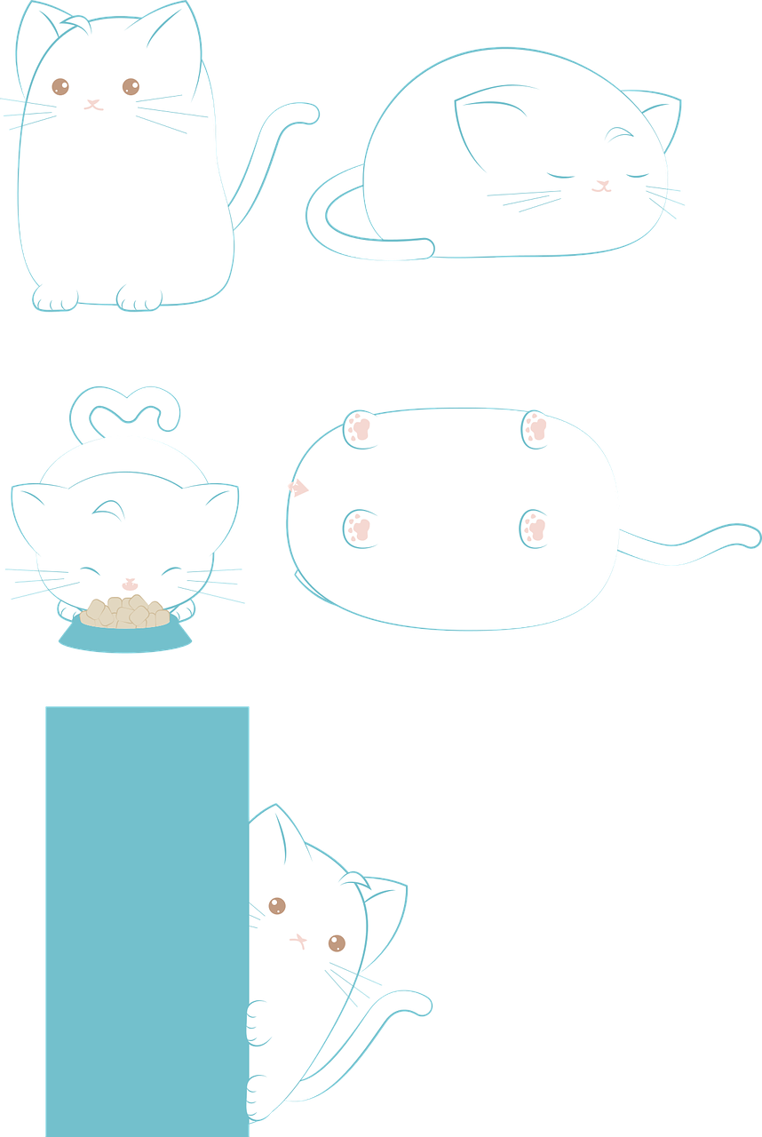 古都西安的猫文化探索，最新猫咪动态与发现