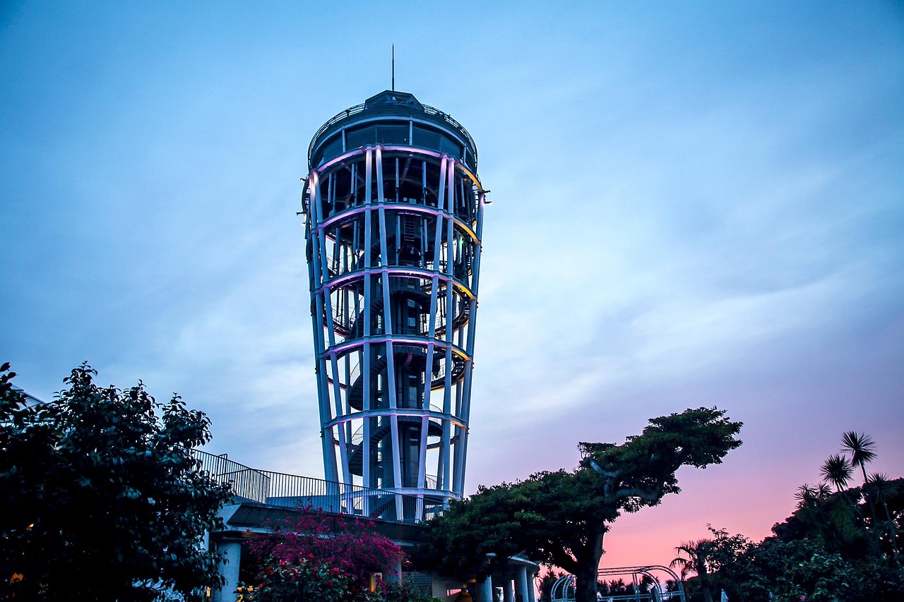 三打两建最新动态解析，展望2025年的深度解读