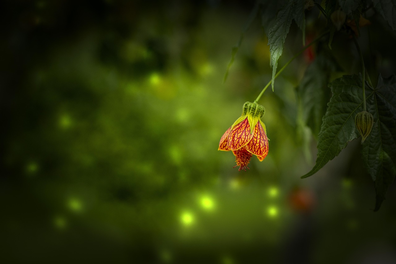 三生三世十里桃花电视剧全剧免费观看，4月浪漫邂逅，重温经典情感之旅！