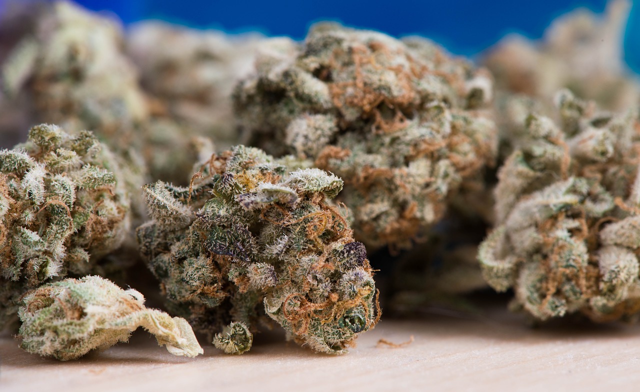 4月邯郸非法集资最新动态解析，新形势下的应对策略