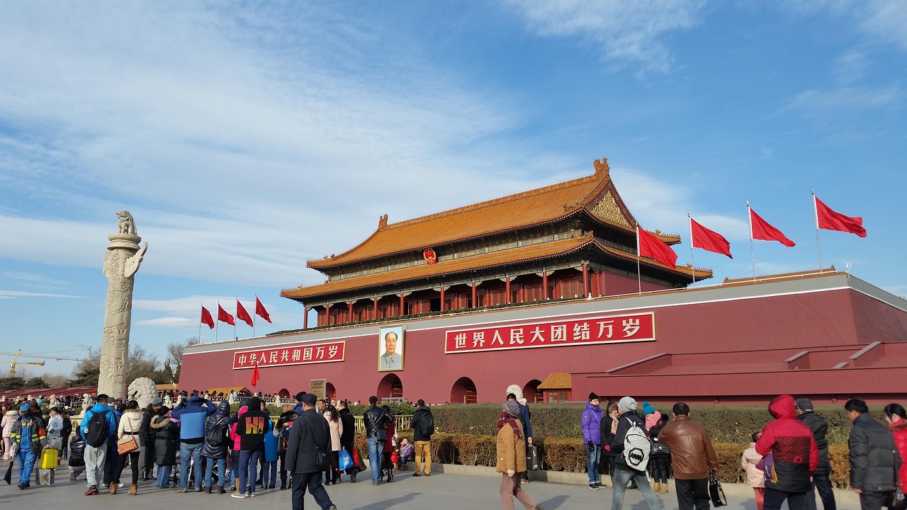 五月排球盛宴，热血女排最新比赛视频来袭！