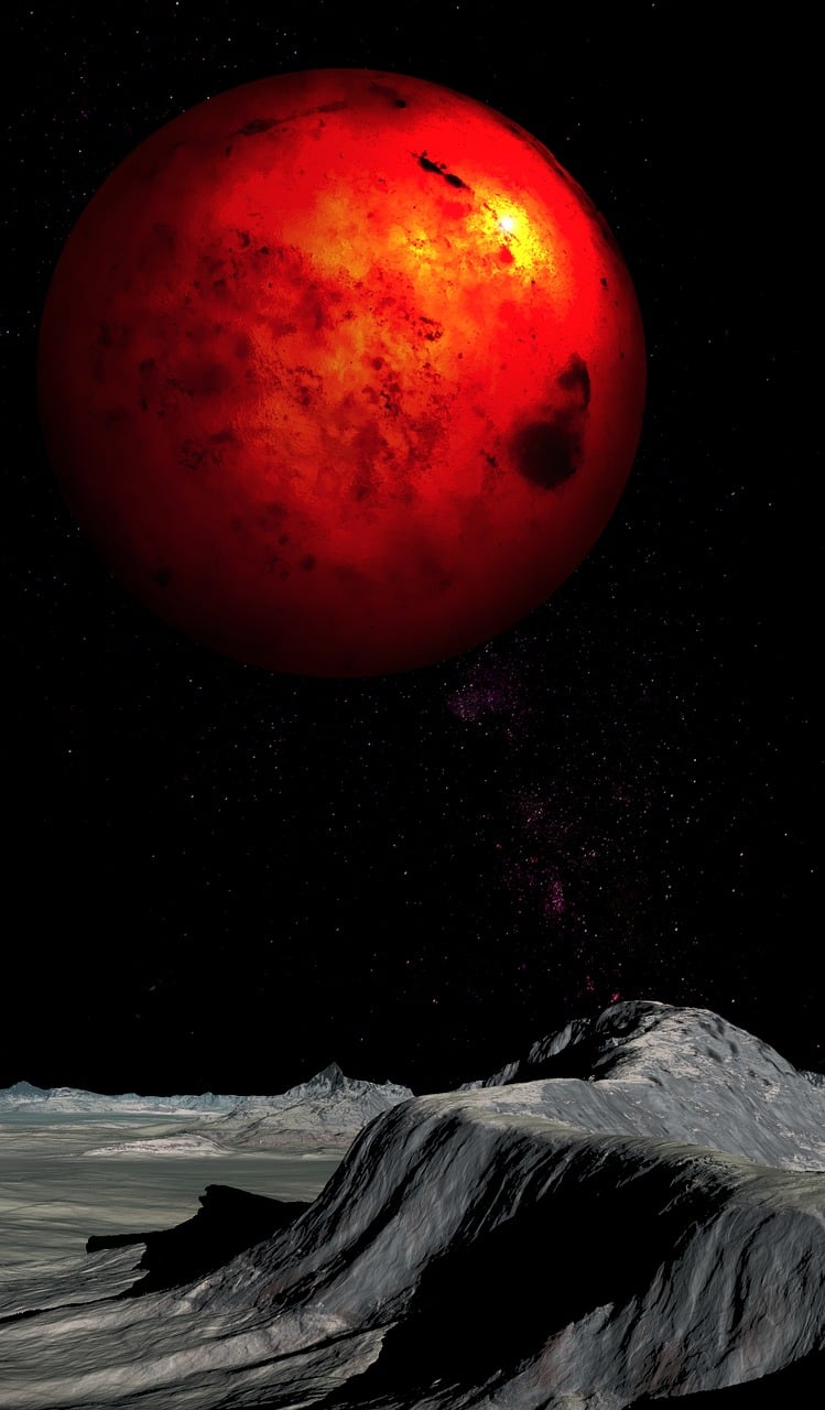 五月金珉锡的最新动态，闪耀明星，前行不止的明星步伐
