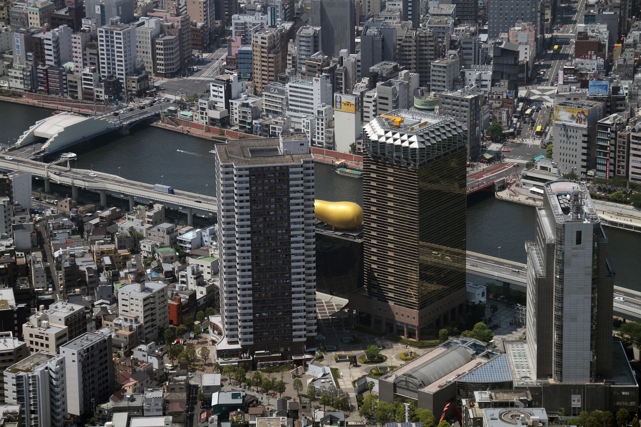 新建区兴华路规划更新，塑造未来城市新蓝图